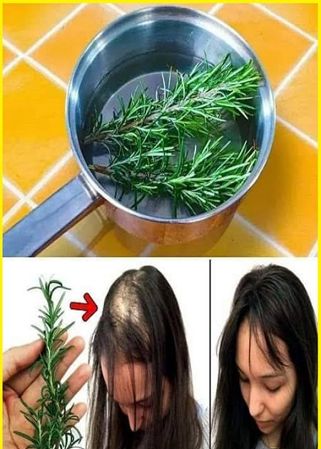 Rosemary for Hair Growth