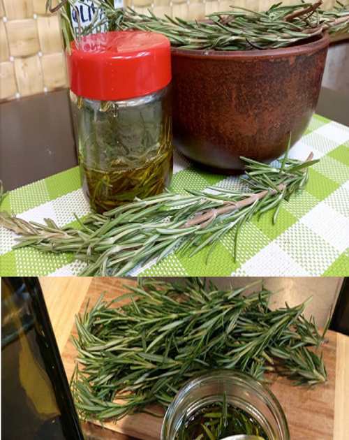 Rosemary Oil