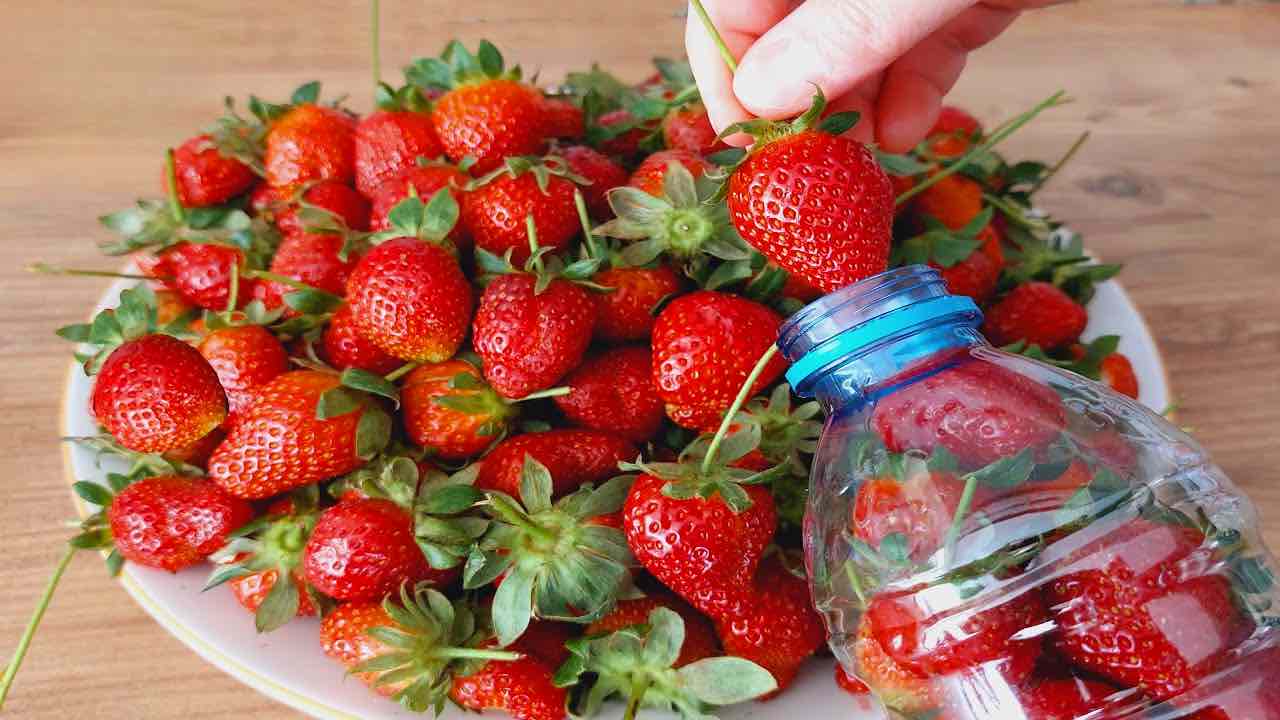 bottled strawberries