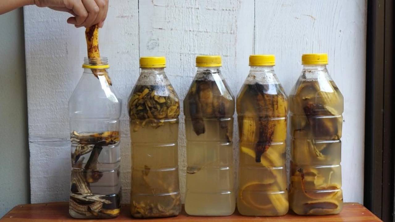 bottled banana peels