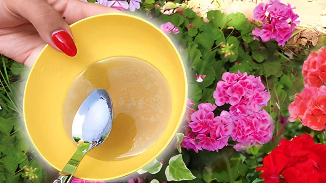 Use this powerful blend for a perfect garden