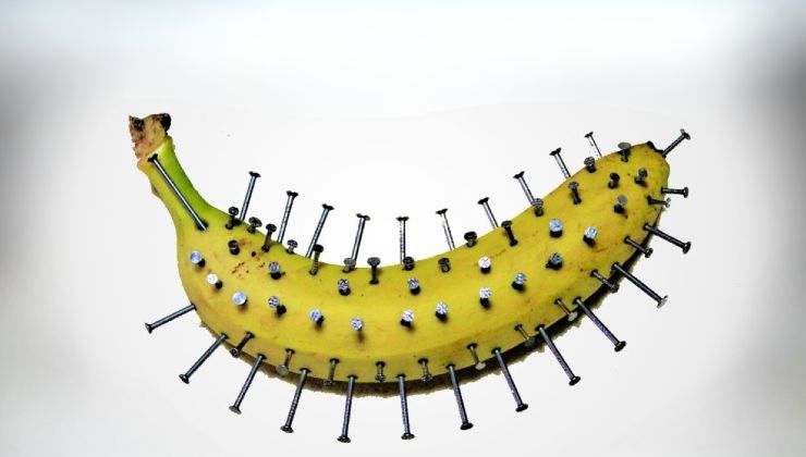 Stick nails in a banana: here's what happens