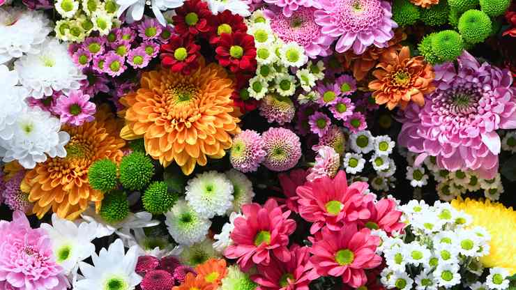 Flowers Flowers