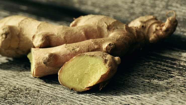 grow ginger grow ginger