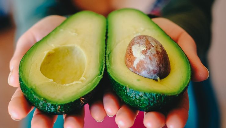 avocado pit avocado pit