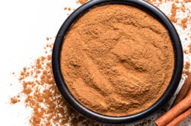 Cinnamon Cinnamon