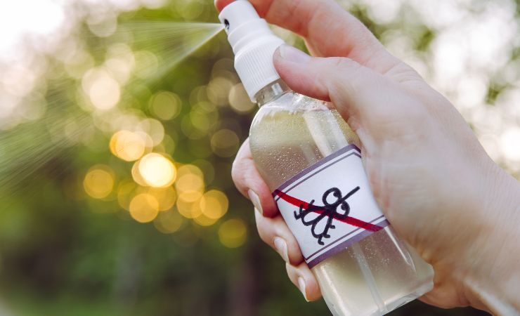 Spruzzare l'antizanzare Spray mosquito repellent