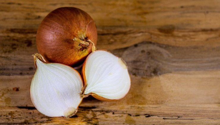 Onions Onions