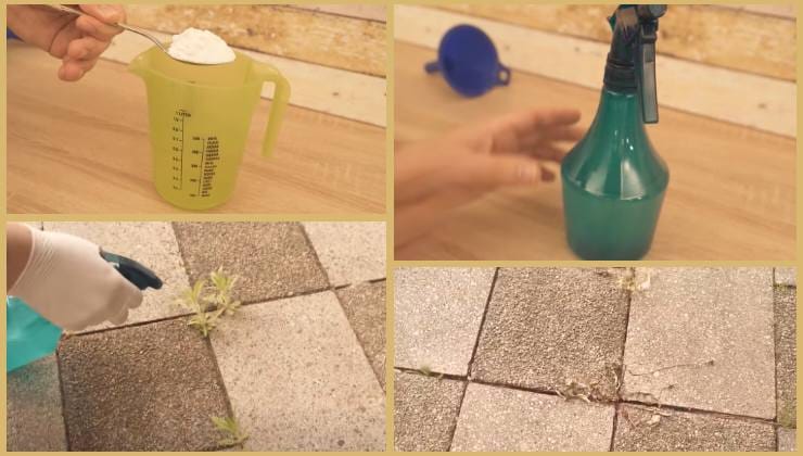 Technique for eliminating weeds and moss